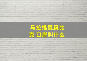 马拉维莫桑比克 口岸叫什么